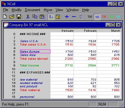 NCell spreadsheet balance sheet